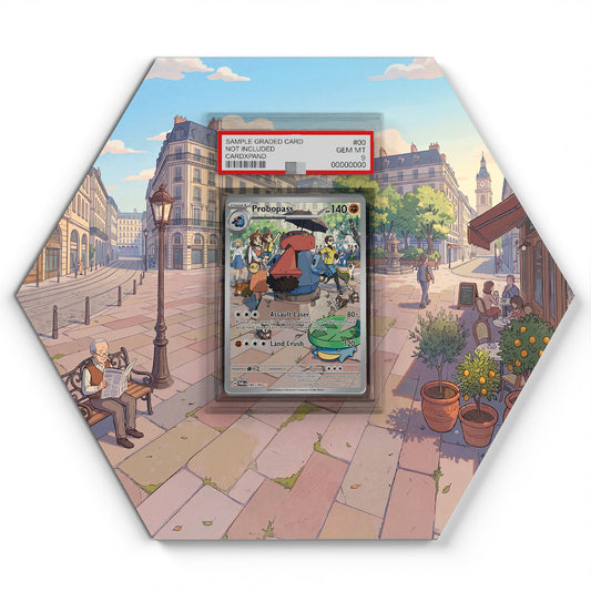 182/167 Probopass - Extended Artwork Pokemon Card Display