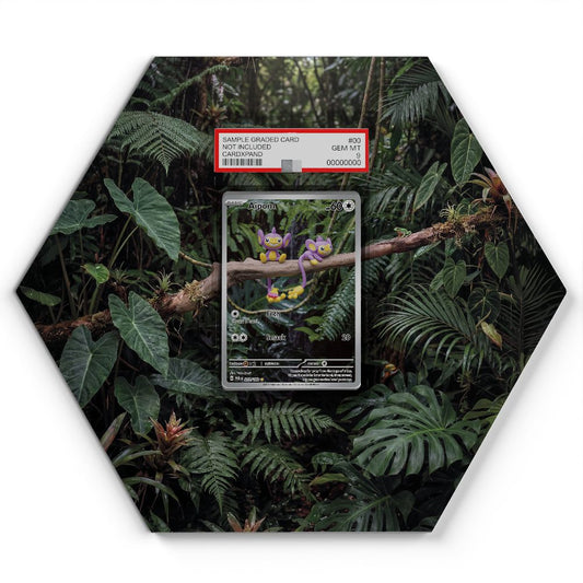 211/182 Capumain - Extended Artwork Pokemon Card Display