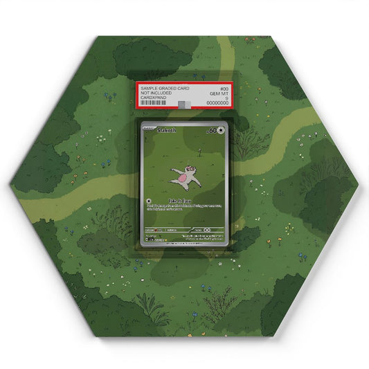 212/191 Parecool - Extended Artwork Pokemon Card Display