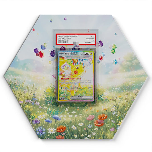 238-191-pikachu-ex large graded display