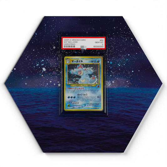 160 Aligatueur - Extended Artwork Pokemon Card Display