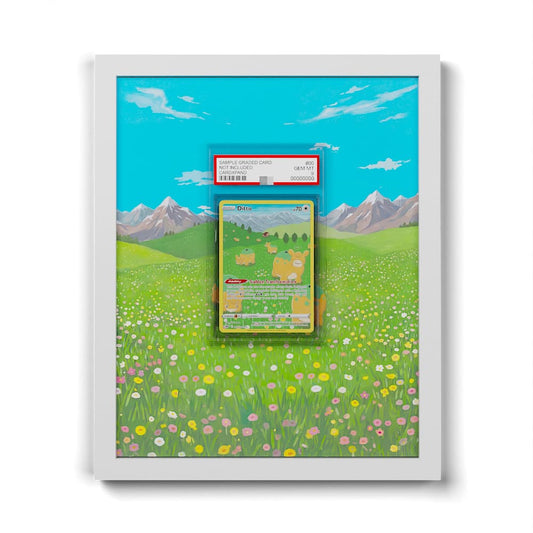 GG22 Métamorph - Extended Artwork Framed Pokemon Card Display