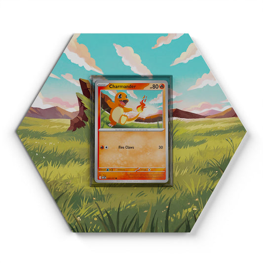 020/217 Salamèche - Extended Artwork Pokemon Card Display