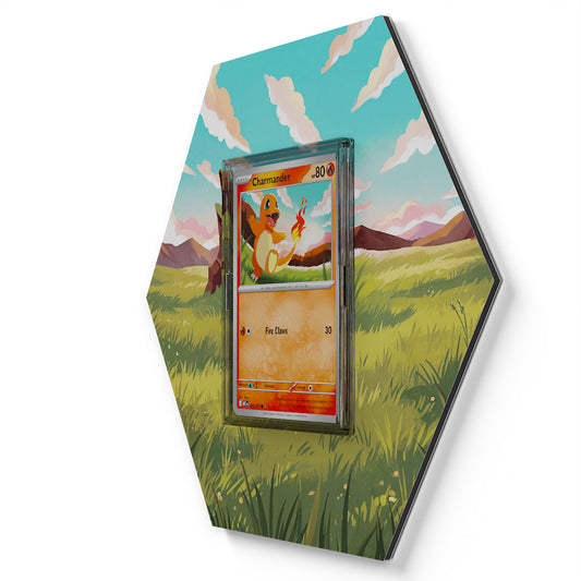 020/217 Salamèche - Extended Artwork Pokemon Card Display