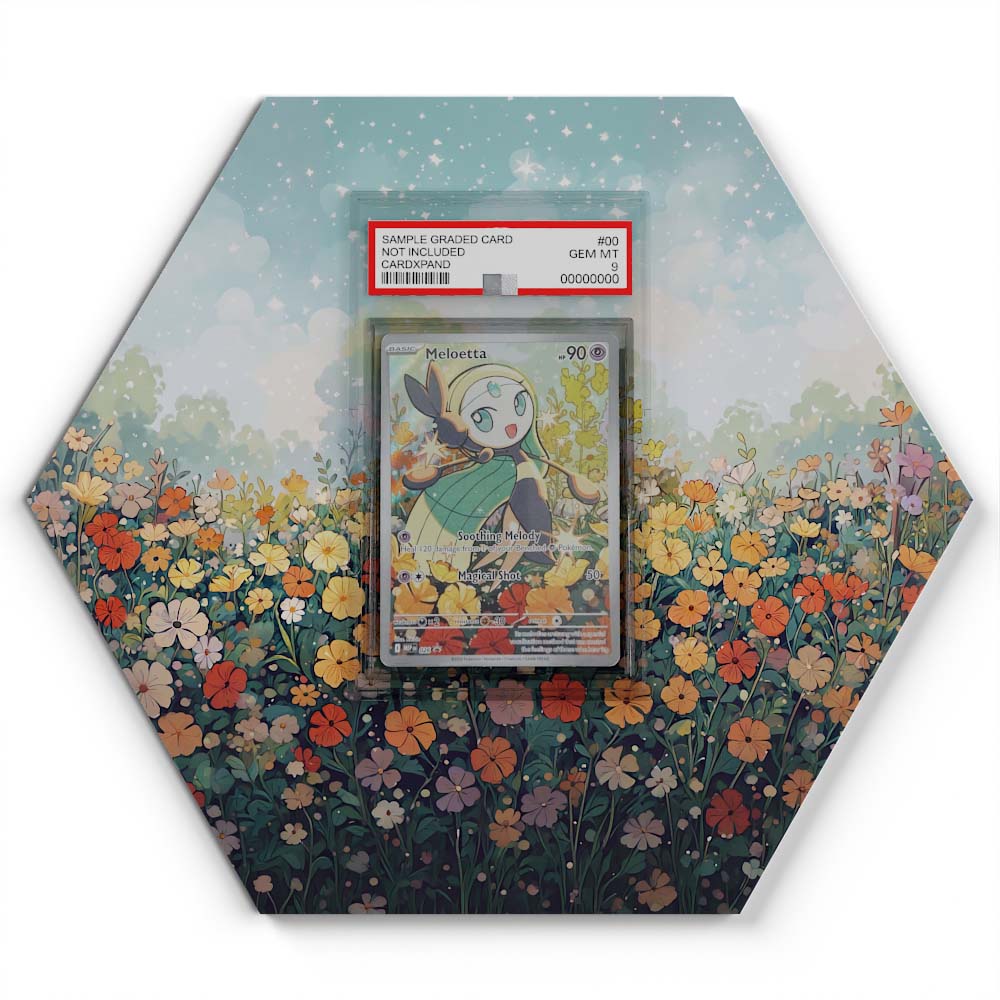 105 Crapustule - Extended Artwork Pokemon Card Display