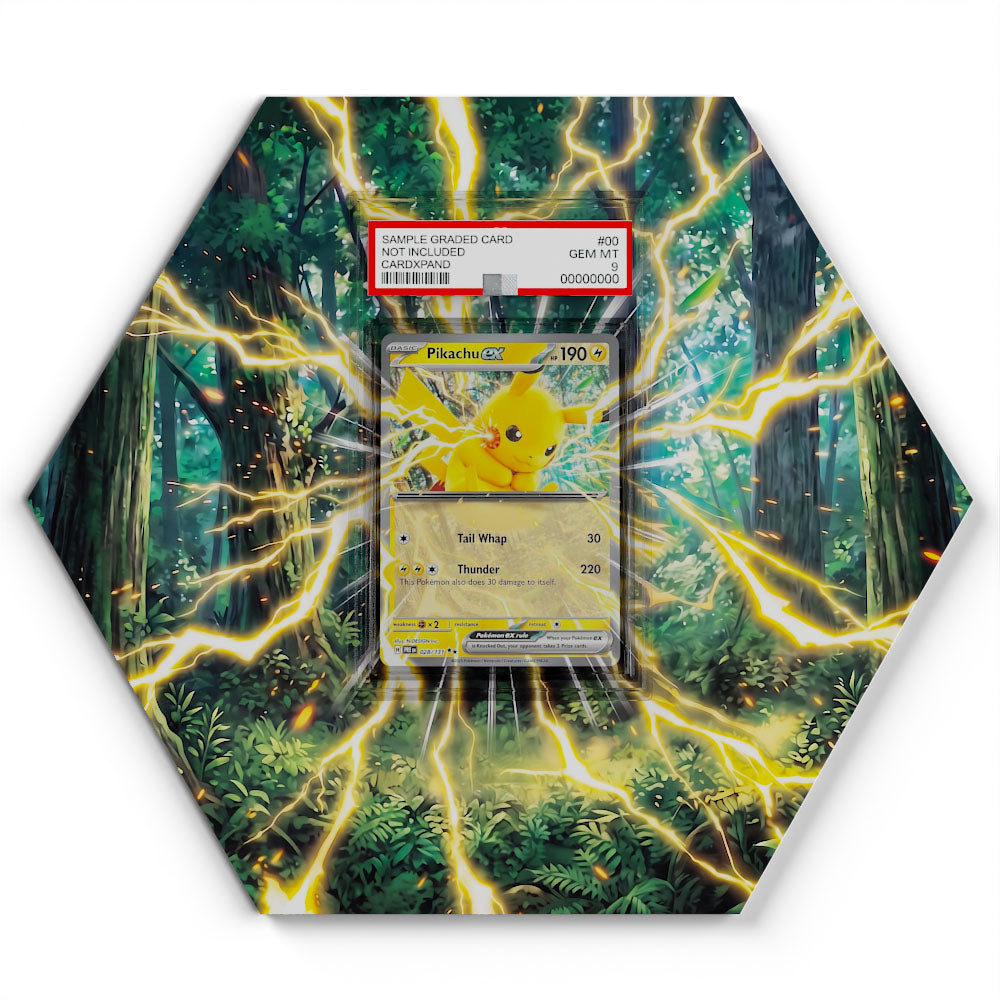 028/131 Pikachu EX - Extended Artwork Pokemon Card Display
