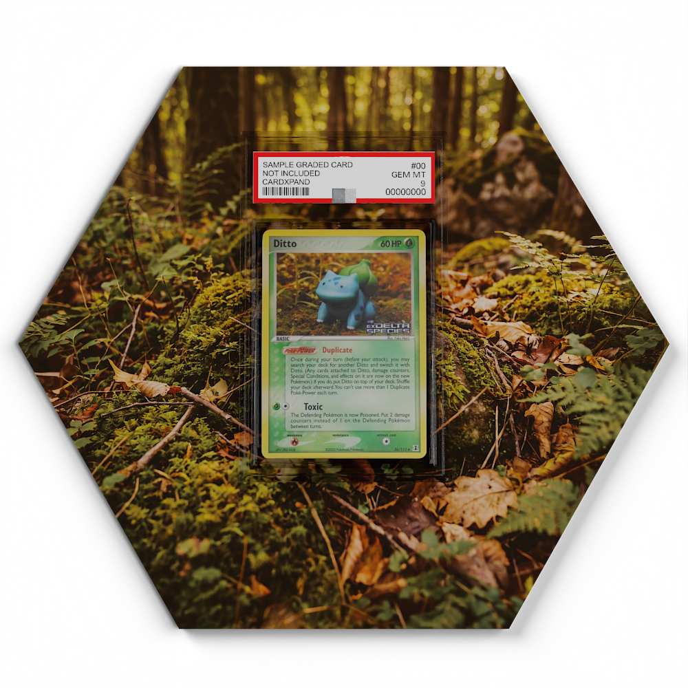 105 Crapustule - Extended Artwork Pokemon Card Display