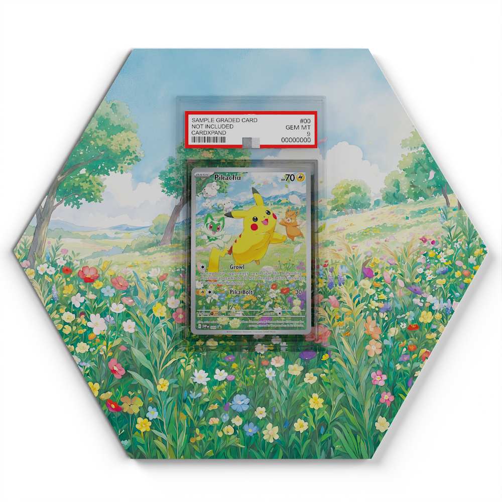 105 Crapustule - Extended Artwork Pokemon Card Display