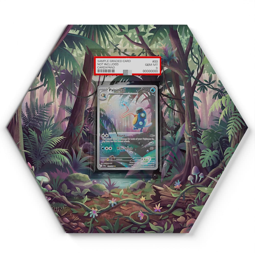 104 Batracné - Extended Artwork Pokemon Card Display