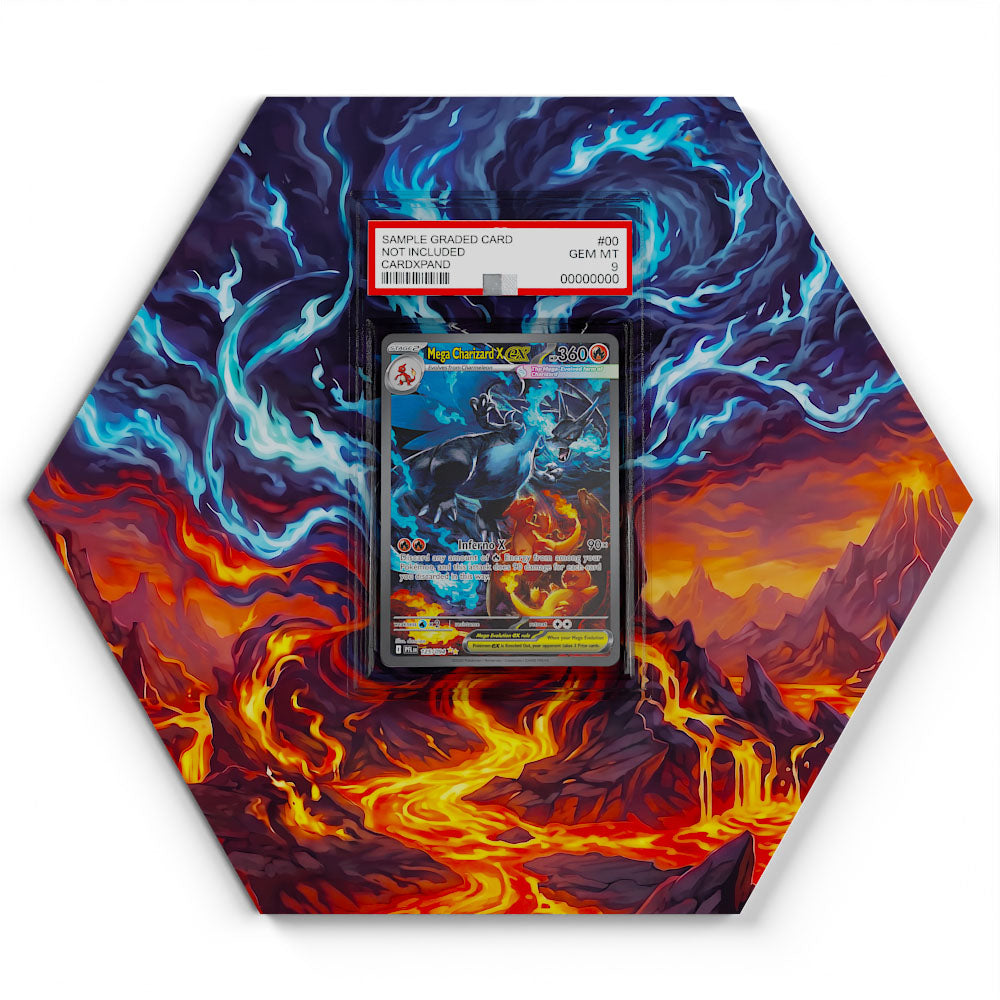 125/094 Méga-Dracaufeu X EX - Extended Artwork Pokemon Card Display