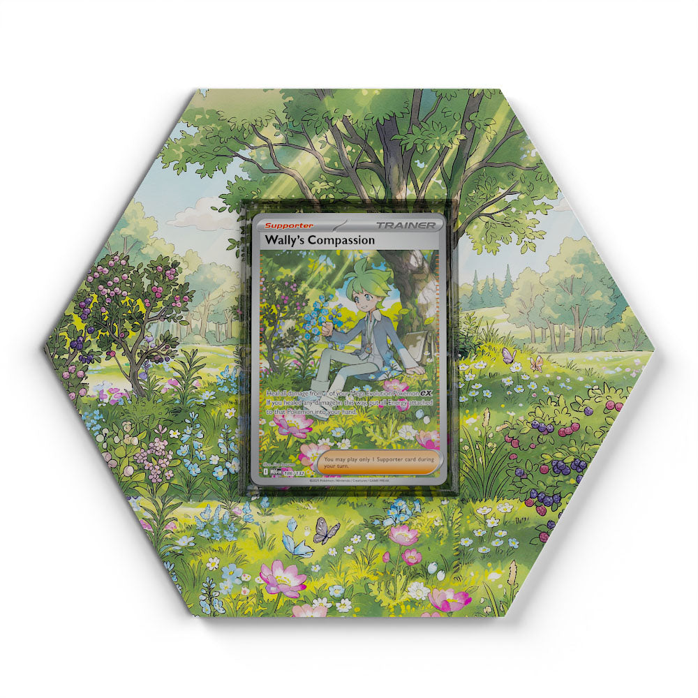 186/132 Compassion de Timmy - Extended Artwork Pokemon Card Display