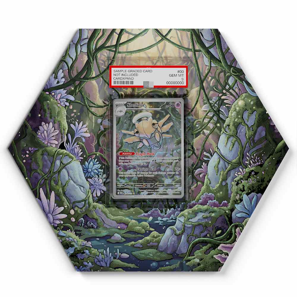 144-132-shedinja large graded display