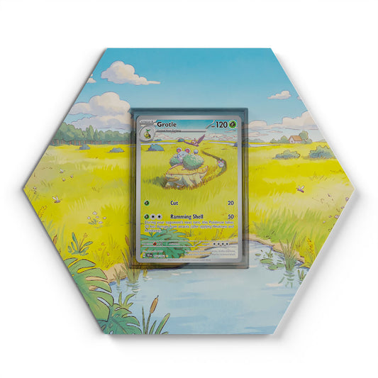 164/162 Boskara - Extended Artwork Pokemon Card Display