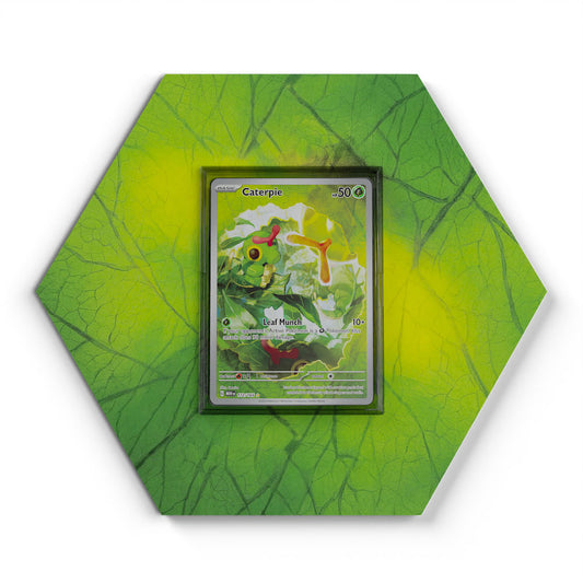 172/165 Chenipan - Extended Artwork Pokemon Card Display