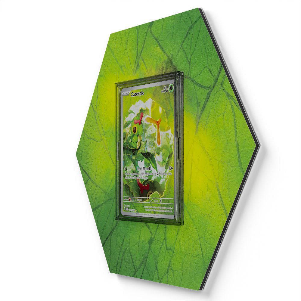172/165 Chenipan - Extended Artwork Pokemon Card Display