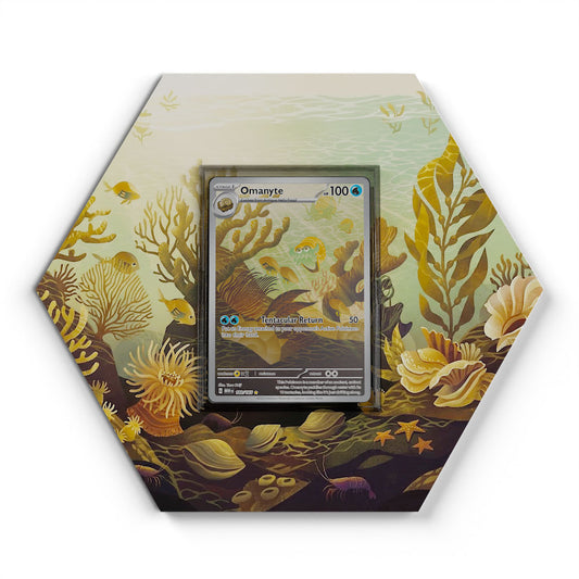 180/165 Amonita - Extended Artwork Pokemon Card Display
