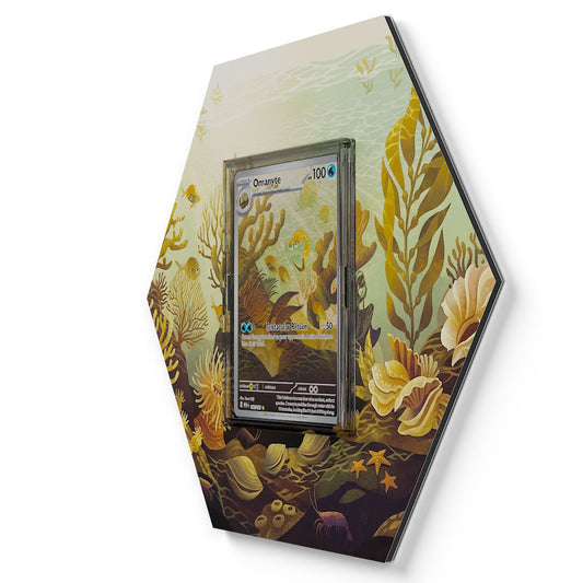 180/165 Amonita - Extended Artwork Pokemon Card Display