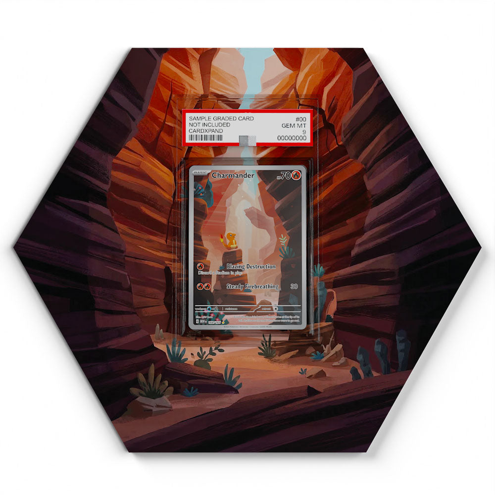 168/165 Salamèche - Extended Artwork Pokemon Card Display