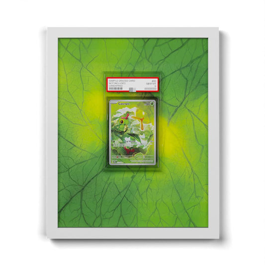 172 Chenipan - Extended Artwork Framed Pokemon Card Display