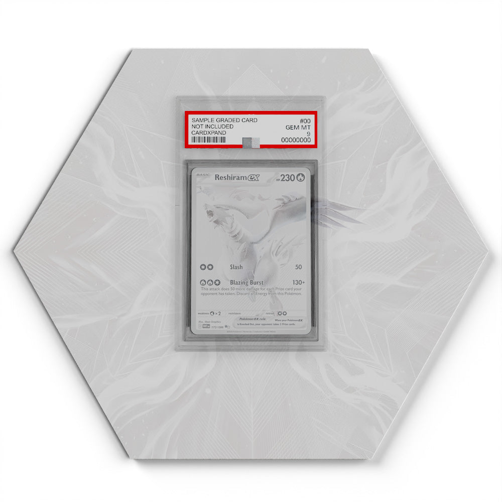 173/086 Reshiram EX - Extended Artwork Pokemon Card Display