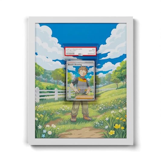 179 Exploration de Pierre - Extended Artwork Framed Pokemon Card Display