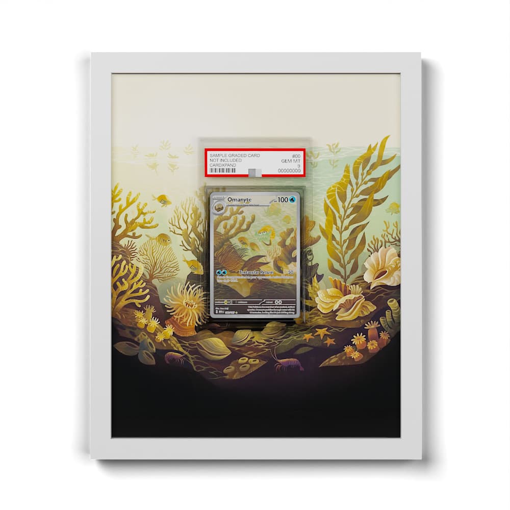 180 Amonita - Extended Artwork Framed Pokemon Card Display