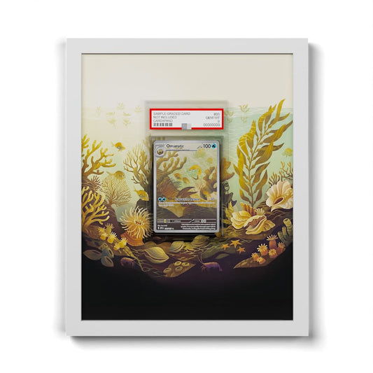 180 Amonita - Extended Artwork Framed Pokemon Card Display