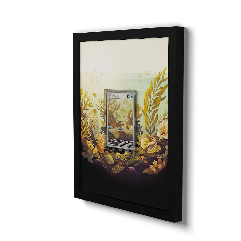 180 Amonita - Extended Artwork Framed Pokemon Card Display
