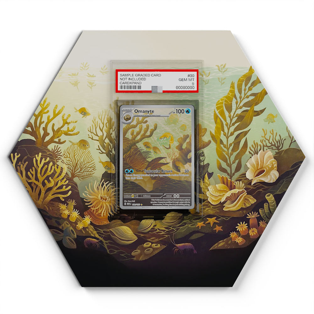 180/165 Amonita - Extended Artwork Pokemon Card Display