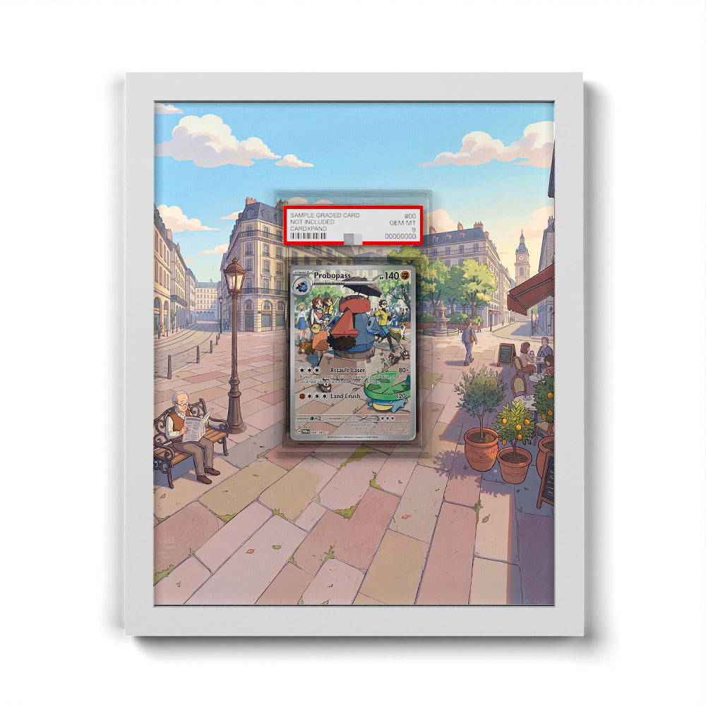 182/167 Probopass - Extended Artwork Pokemon Card Frame