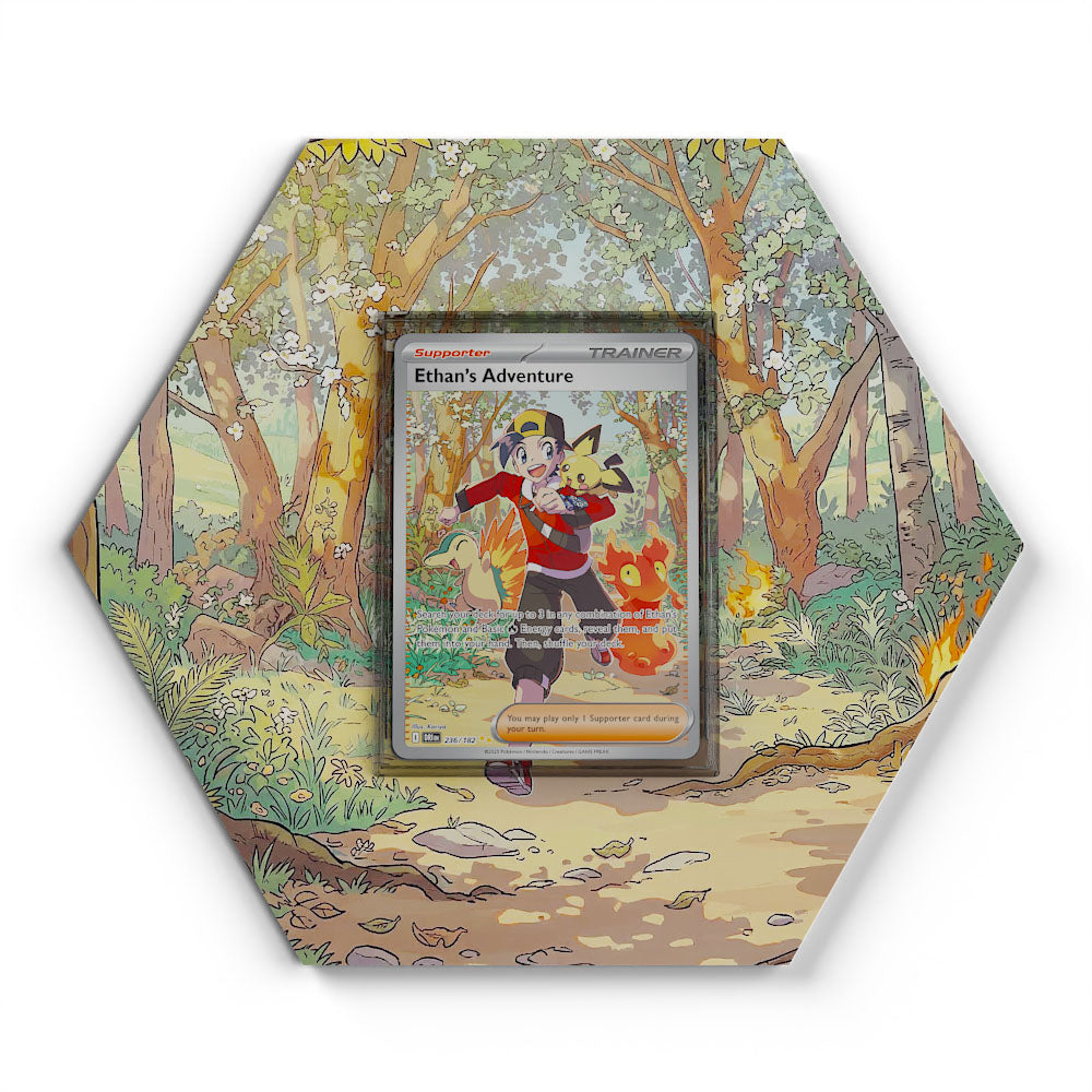 236/182 Aventure de Luth - Extended Artwork Pokemon Card Display