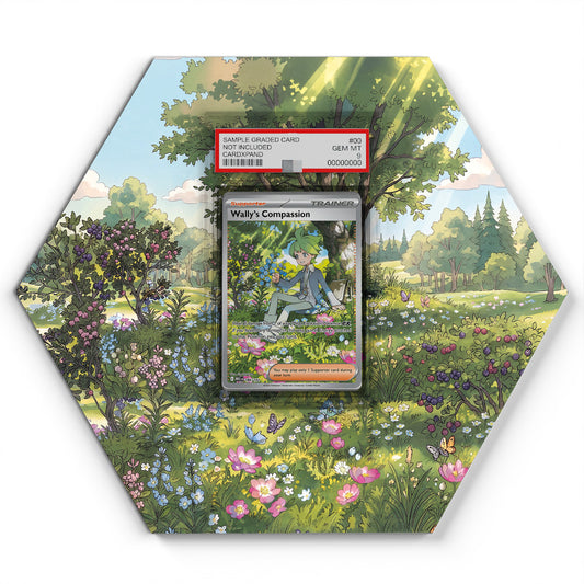 186/132 Compassion de Timmy - Extended Artwork Pokemon Card Display