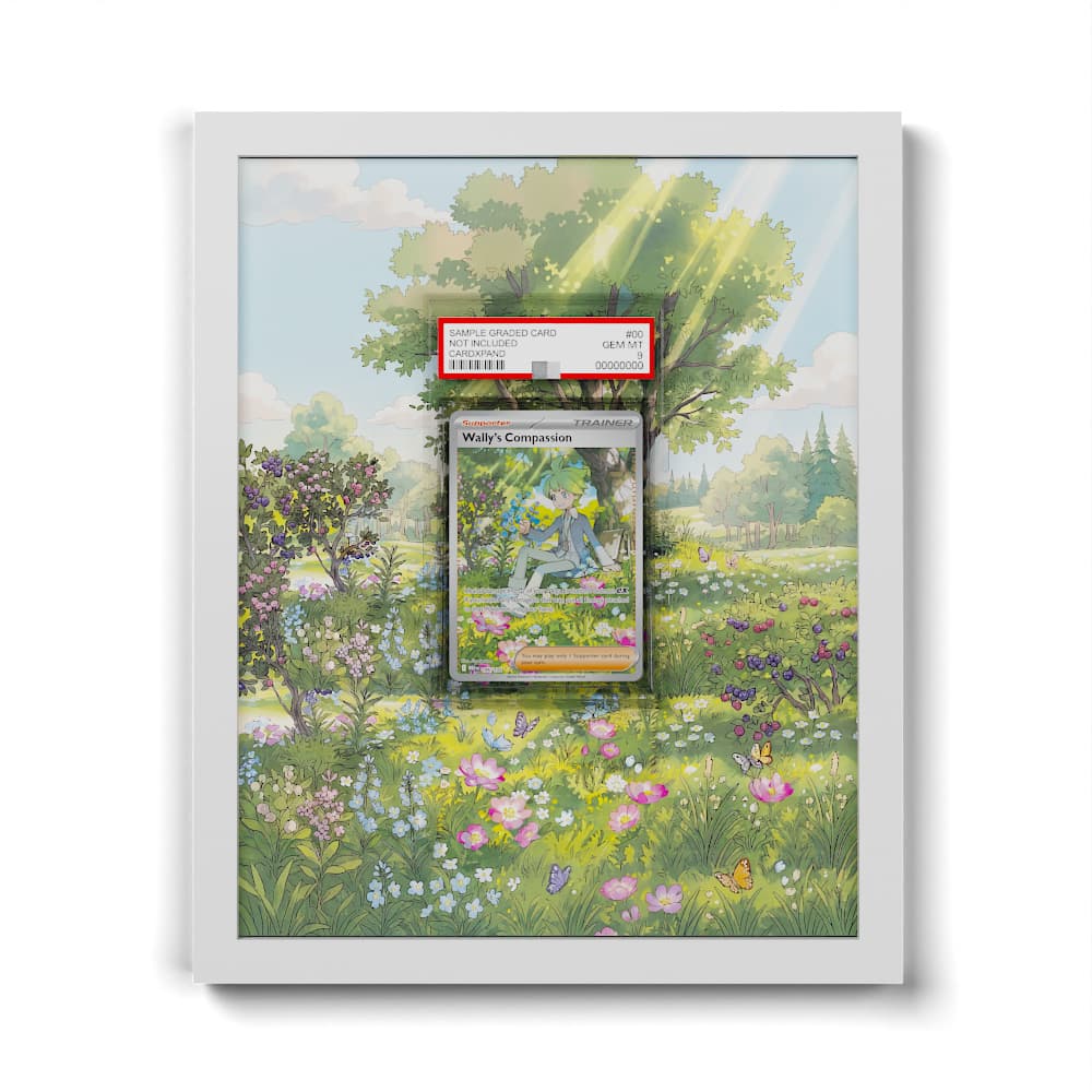 186 Compassion de Timmy - Extended Artwork Framed Pokemon Card Display