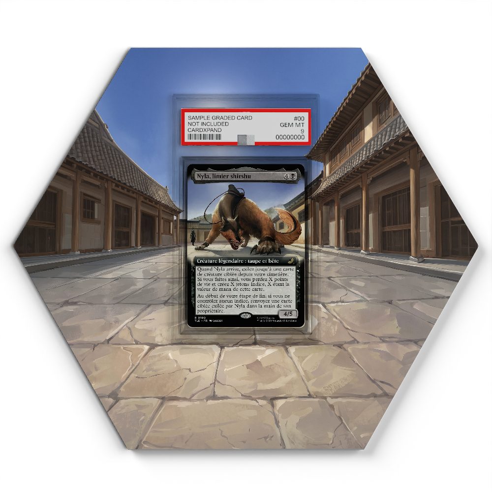 105 Crapustule - Extended Artwork Pokemon Card Display