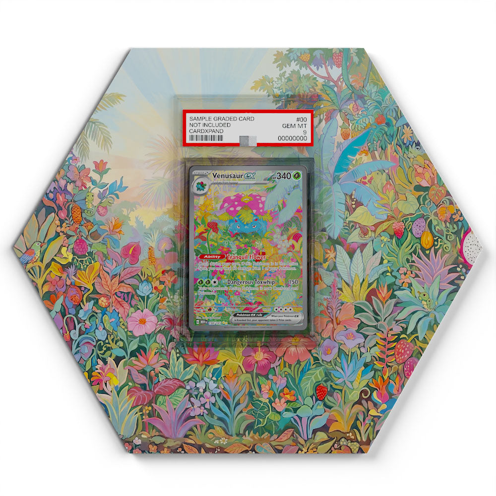 198/165 Florizarre EX - Extended Artwork Pokemon Card Display