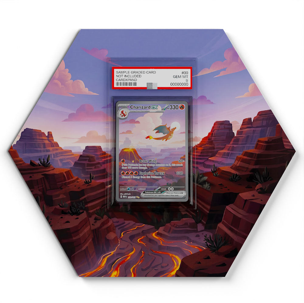 199/165 Dracaufeu EX - Extended Artwork Pokemon Card Display