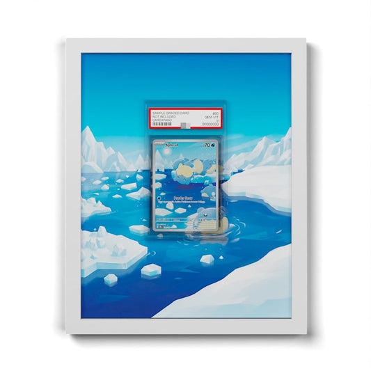 199 Obalie - Extended Artwork Framed Pokemon Card Display