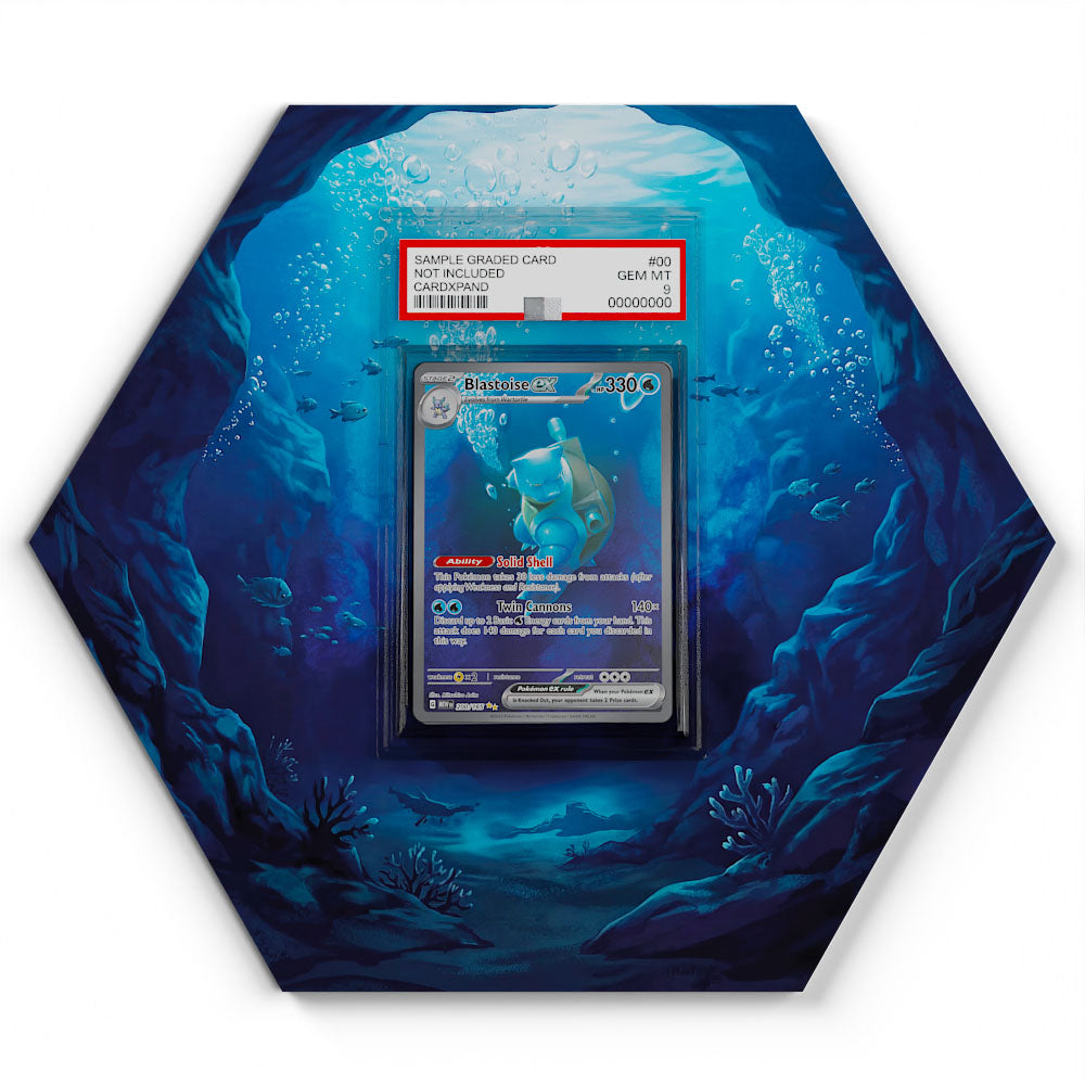 200/165 Tortank EX - Extended Artwork Pokemon Card Display