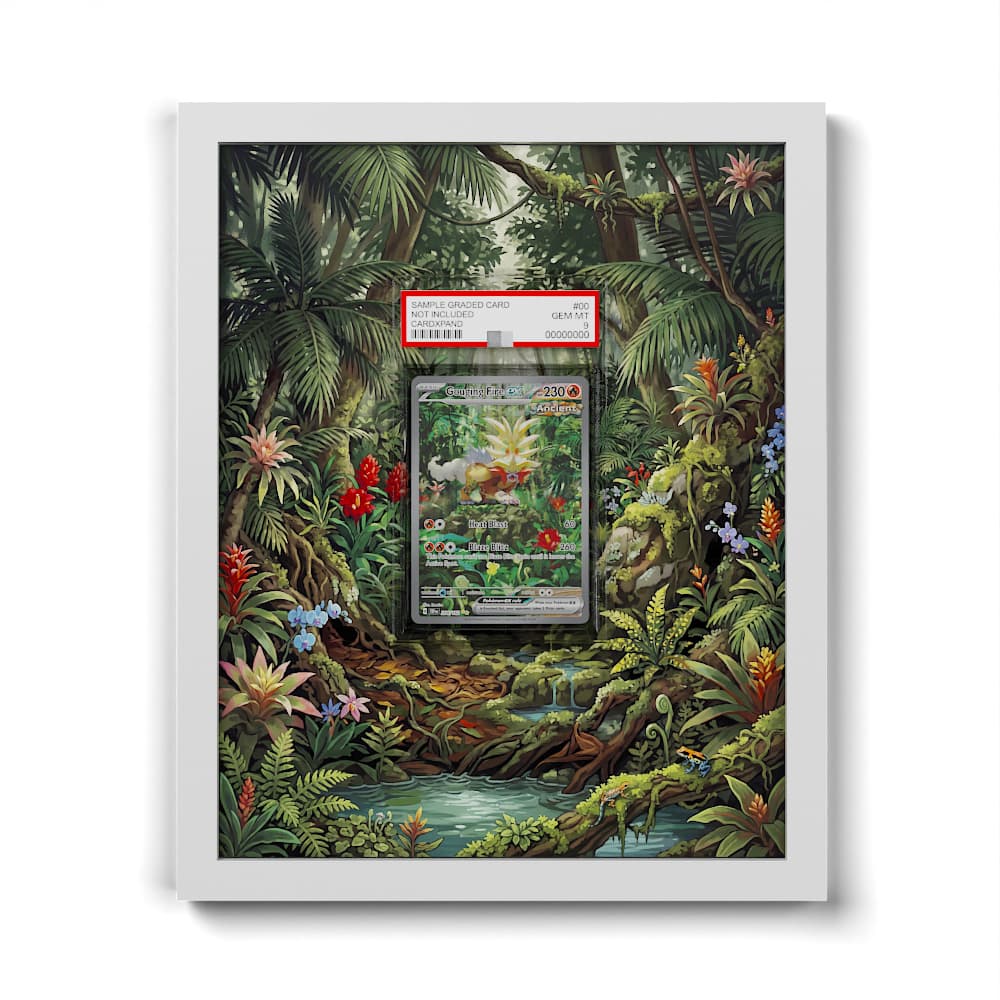 204 Flamme Furie EX - Extended Artwork Framed Pokemon Card Display