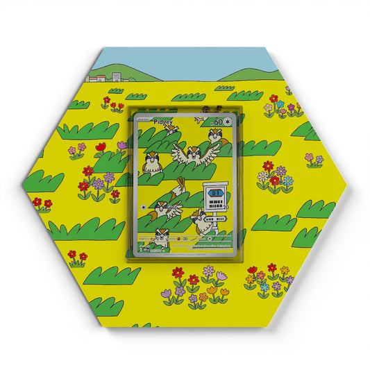 207/197 Roucool - Extended Artwork Pokemon Card Display