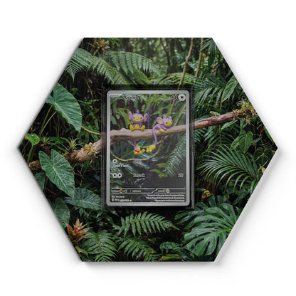 211/182 Capumain - Extended Artwork Pokemon Card Display