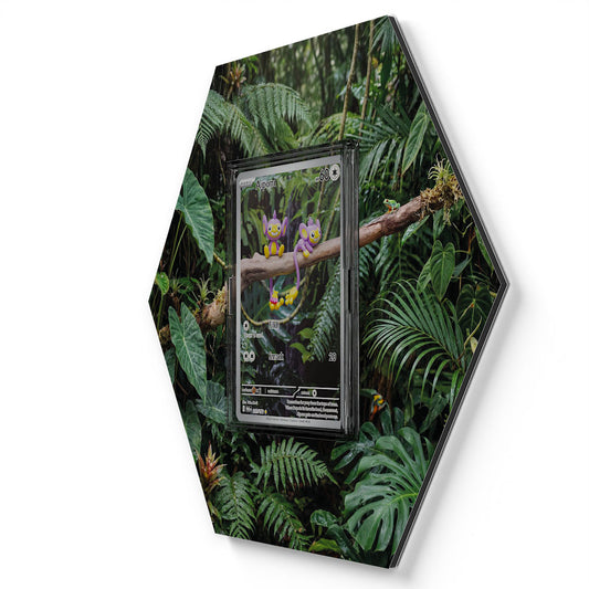 211/182 Capumain - Extended Artwork Pokemon Card Display