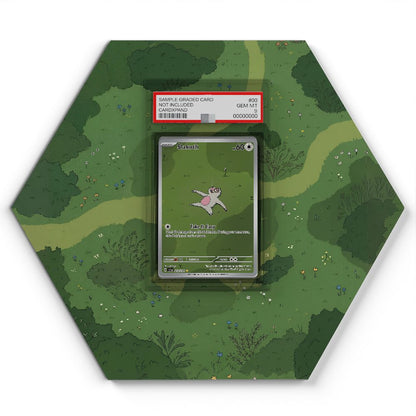 212/191 Parecool - Extended Artwork Pokemon Card Display