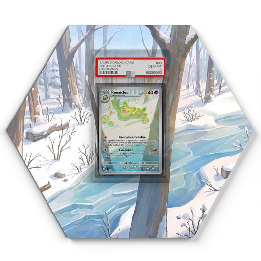 212 Symbios - Extended Artwork Pokemon Card Display