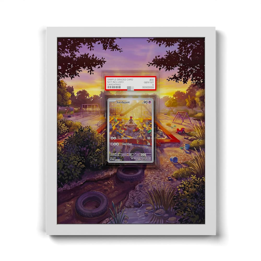 214 Bacabouh - Extended Artwork Framed Pokemon Card Display