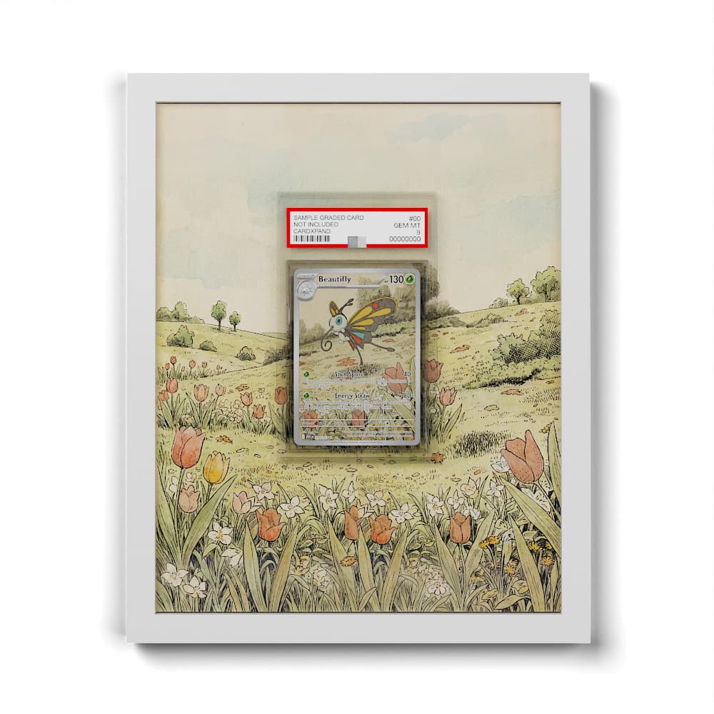 219 Charmillon - Extended Artwork Framed Pokemon Card Display