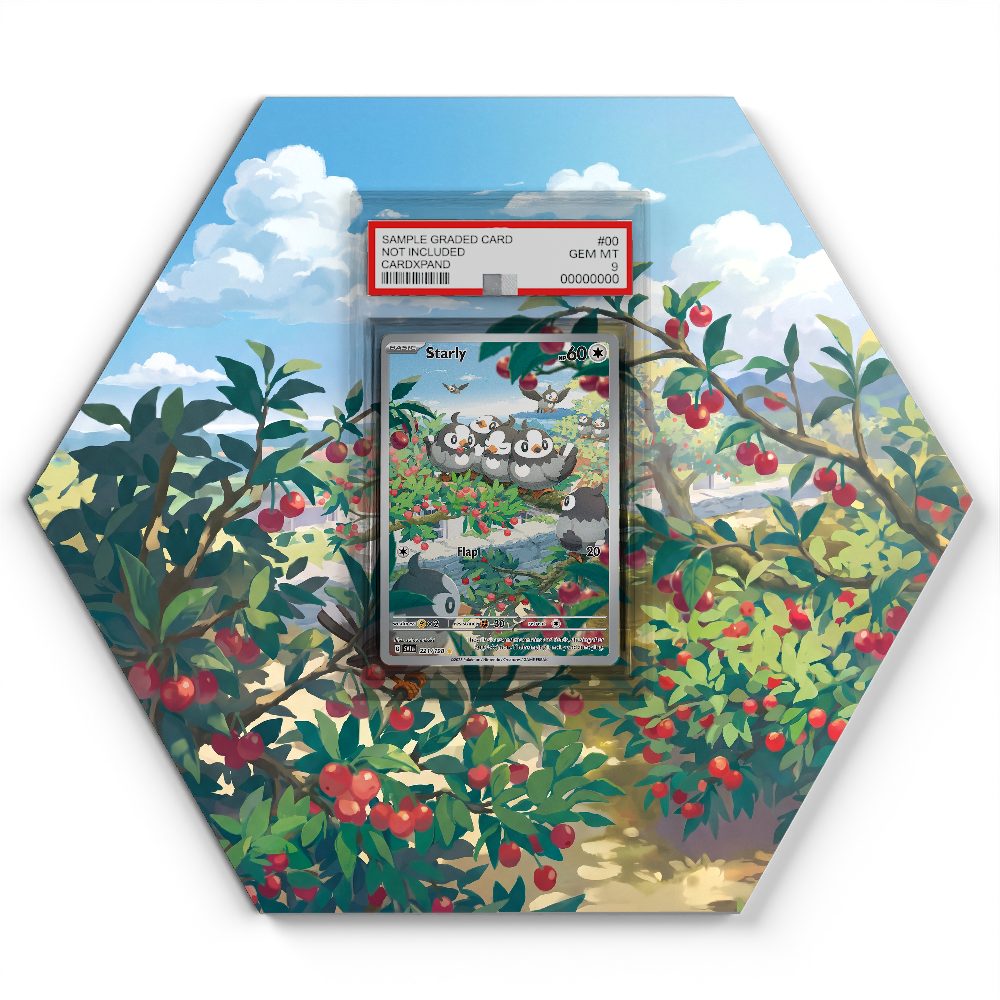105 Crapustule - Extended Artwork Pokemon Card Display