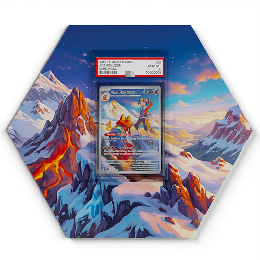 222-217-ethans-magcargo large graded display