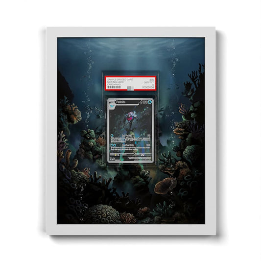 225 Superdofin - Extended Artwork Framed Pokemon Card Display