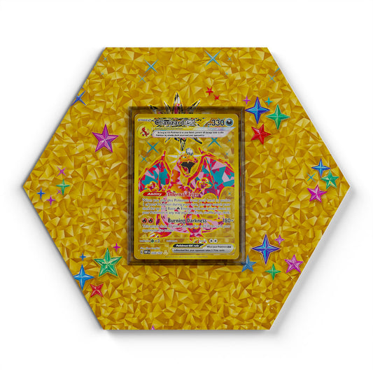 228/197 Dracaufeu - Extended Artwork Pokemon Card Display